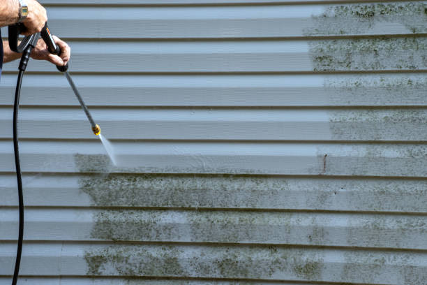 Best Fiber Cement Siding Installation  in Rio Grande, NJ