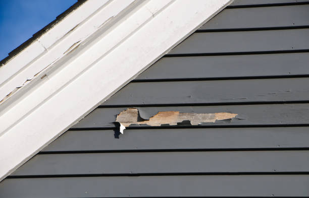 Best Insulated Siding Installation  in Rio Grande, NJ