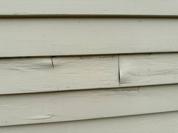 Best Residential Vinyl Siding Installation  in Rio Grande, NJ